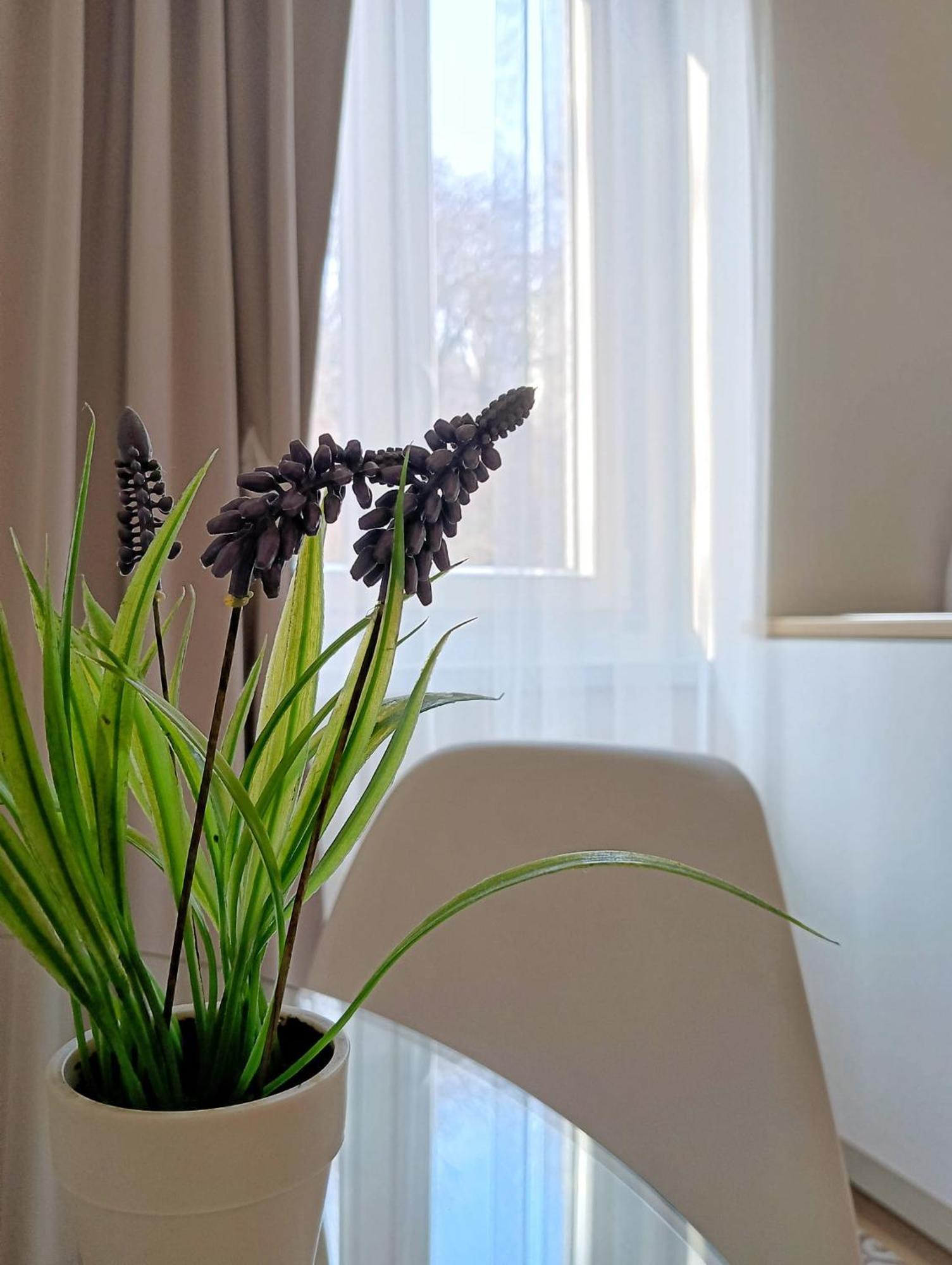 Tesa2 Casa Vacanze Terst Exteriér fotografie